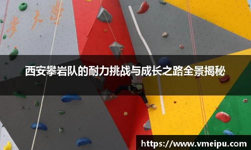 竞技宝
